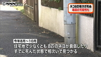 猫８匹、相次ぎ不審死　毒殺の可能性も  横浜