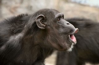今週末、ママスタ忘年会な！