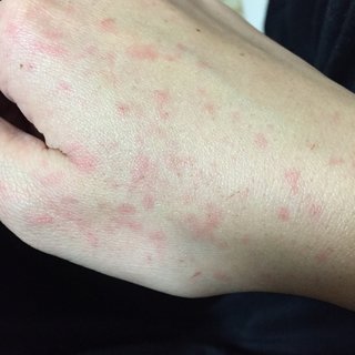 鳥好きさん、いませんか？