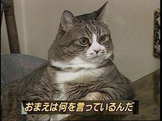 ゲッターズ飯田「結婚していない女の人は性格悪い人が多い（笑）」