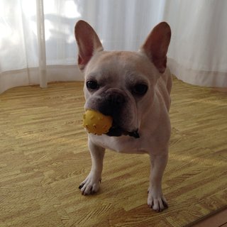 モコモジオリーナ