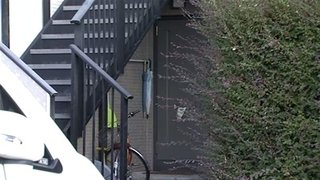 長女の舌にたばこの火押し付けた疑い、母親らを再逮捕