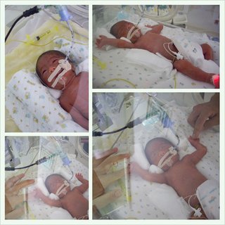 ＴＢＳ【コウノドリ】金曜 夜１０