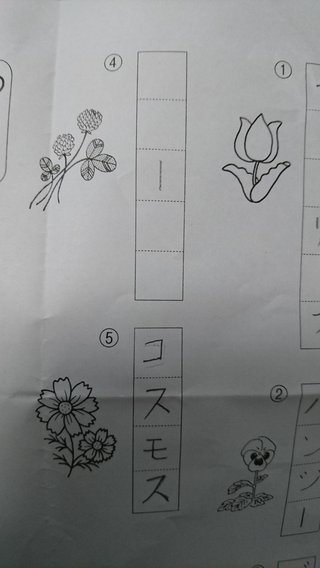 花の名前教えてください