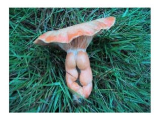 ケツが汚い。。写真撮ってみてびっくり