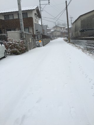 【福岡】【総合】