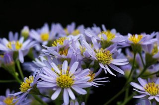 男なのに、女みたいな名前つけられてる子