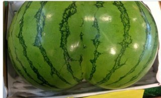 ケツが汚い。。写真撮ってみてびっくり