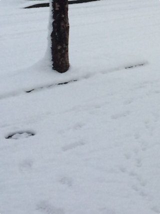 40年ぶりの大寒波襲来！！西日本は3日分の食料確保を