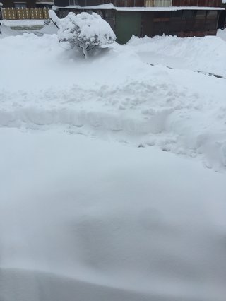 40年ぶりの大寒波襲来！！西日本は3日分の食料確保を