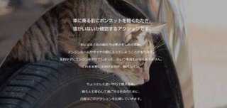 日産自動車が「猫バンバン」プロジェクトを始動　
