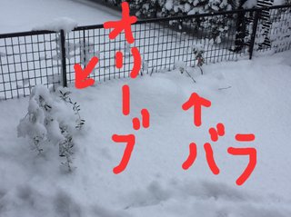 40年ぶりの大寒波襲来！！西日本は3日分の食料確保を