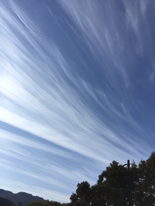 40年ぶりの大寒波襲来！！西日本は3日分の食料確保を