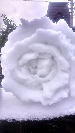 40年ぶりの大寒波襲来！！西日本は3日分の食料確保を