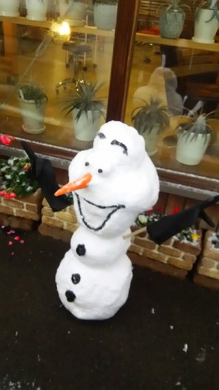 【福岡】【総合】