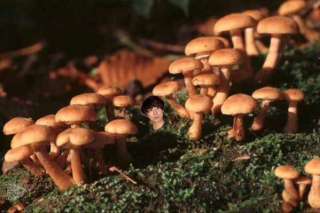 ベッキー、ゲス川谷との不倫騒動を謝罪