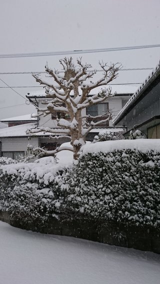 40年ぶりの大寒波襲来！！西日本は3日分の食料確保を