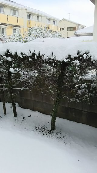 40年ぶりの大寒波襲来！！西日本は3日分の食料確保を