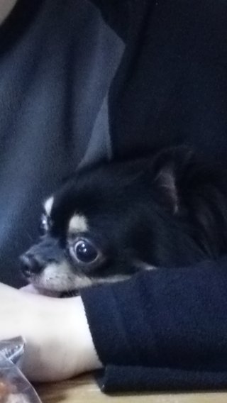 【再】旦那を嫌いな人