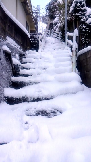 40年ぶりの大寒波襲来！！西日本は3日分の食料確保を