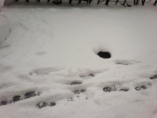 40年ぶりの大寒波襲来！！西日本は3日分の食料確保を