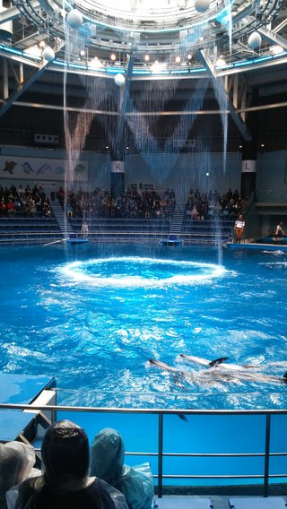 品川水族館、サンシャイン水族館、すみだ水族館