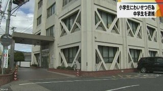 【愛知】男子中学生（１４）が小学生を強姦未遂  強制わいせつ傷害で逮捕 【子供までわいせつ県】