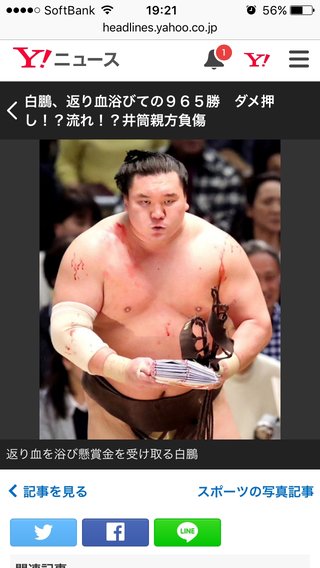 相撲みる人少ないのかな