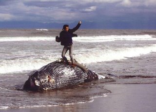 クジラ死骸上でガッツポーズ　写真コン最優秀作品に批判