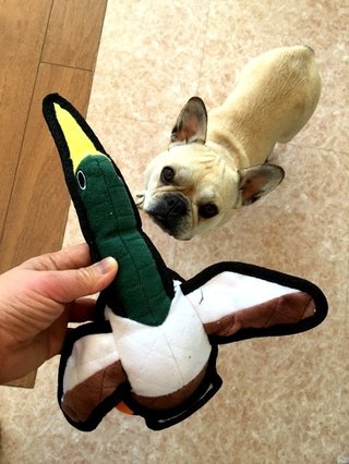 北斗晶☆ブログ