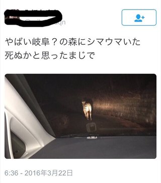 【愛知】乗馬クラブからシマウマ脱走　興奮状態で柵を壊して逃げ去る　 