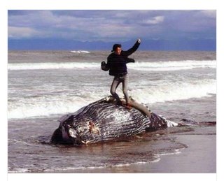 クジラ死骸上でガッツポーズ　写真コン最優秀作品に批判
