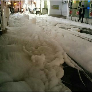 【福岡】【総合】