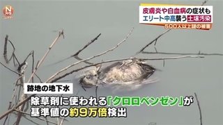 中国で生徒５００人以上に症状、工場跡地 汚染の実態
