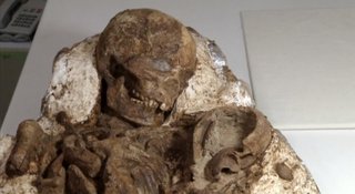 台湾で4800年前の母親の化石発見、腕に嬰児抱く