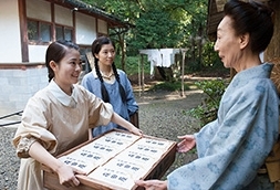 【ネタバレ】朝ドラ「とと姉ちゃん」