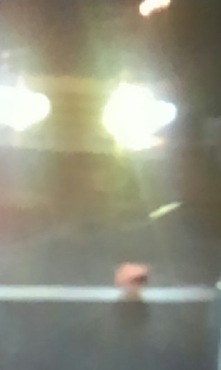 思わず二度見した物（人）ある？