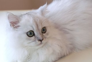 別にいやらしい言葉じゃないのに何故かいやらしく聞こえる言葉