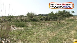 タケノコ採りに来ていた男性死亡　クマに襲われたか　秋田