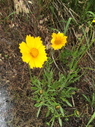 どうでもいい報告してください