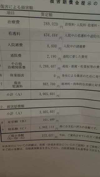 子供がよそ見運転の車にひかれて