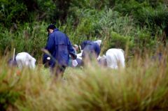 ２０歳女性が行方不明=写真公開で情報呼び掛け―沖縄県警