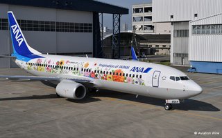 ANA気圧低下で乗客の鼓膜破れる