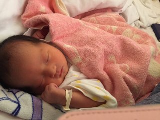 赤ちゃんがみたい