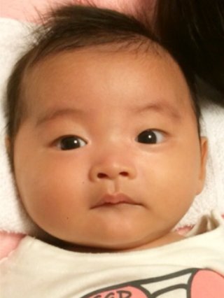 赤ちゃんがみたい