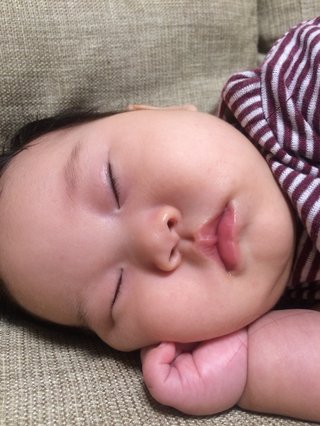 赤ちゃんがみたい