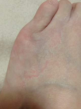 【閲覧注意】これ何だか分かりますか？