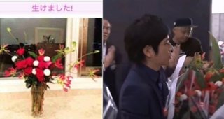 二宮和也と伊藤綾子アナウンサーの熱愛