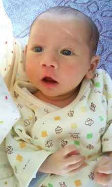 赤ちゃんがみたい