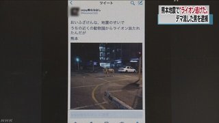 「ライオン逃げた」熊本地震直後にうそツイート 男を逮捕 